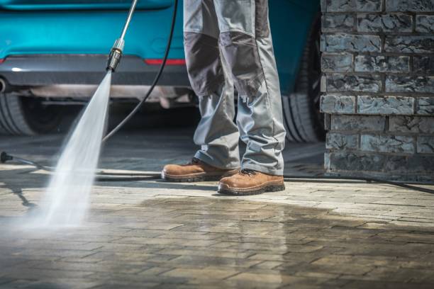 Best Residential Exterior Washing  in Williston Highlands, FL