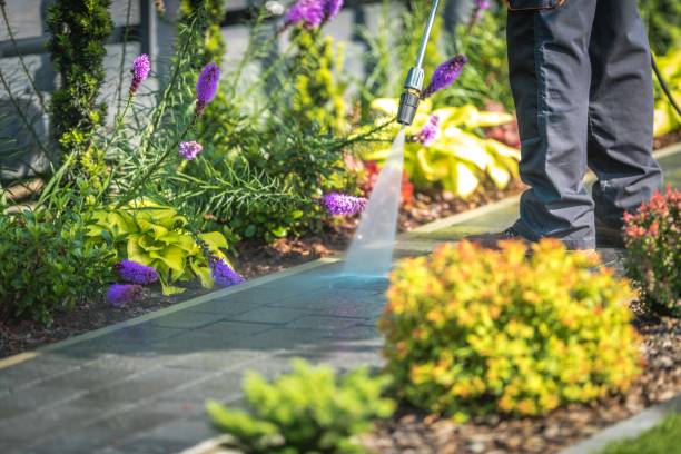 Best Sidewalk and Walkway Cleaning  in Williston Highlands, FL