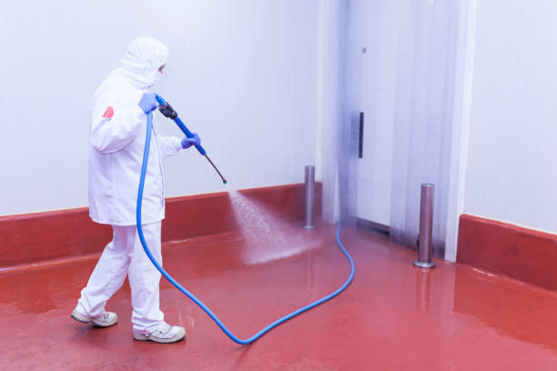 Best Paint Preparation  in Williston Highlands, FL