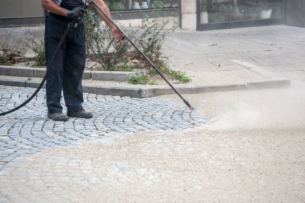 Best Animal Enclosure Cleaning  in Williston Highlands, FL